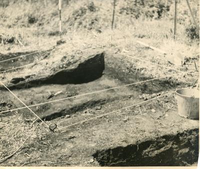 Ongari Pa Excavation