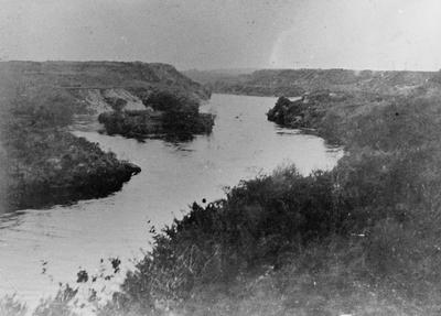 Waikato River, Hamilton