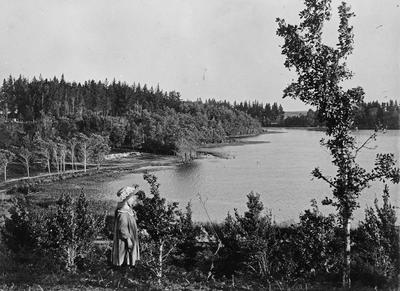 South End of Hamilton Lake